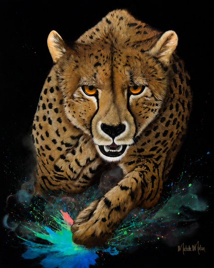 Leopard